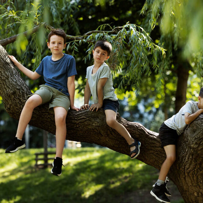 Activities – Kitsap Kids